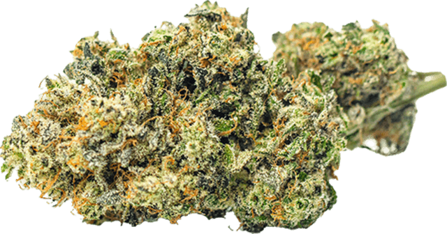 Sour Kush